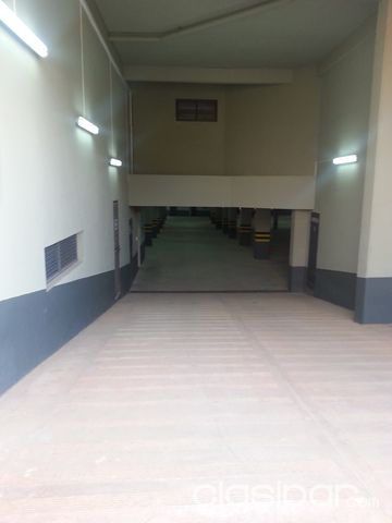 Departamentos de 3 dormitorios a ESTRENAR Planta Baja - San Lorenzo- ref. Ejecutivos, Empresarios- Diplomaticos — foto 3