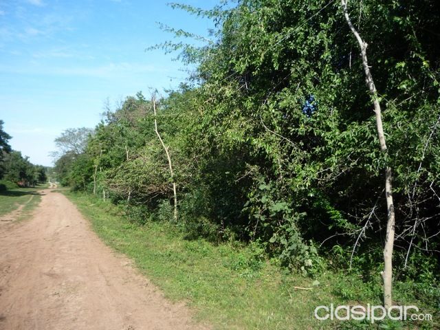 REMATO TERRENOS EN LIMPIO FRACCIÓN EL PEÑÓN IV — foto 2