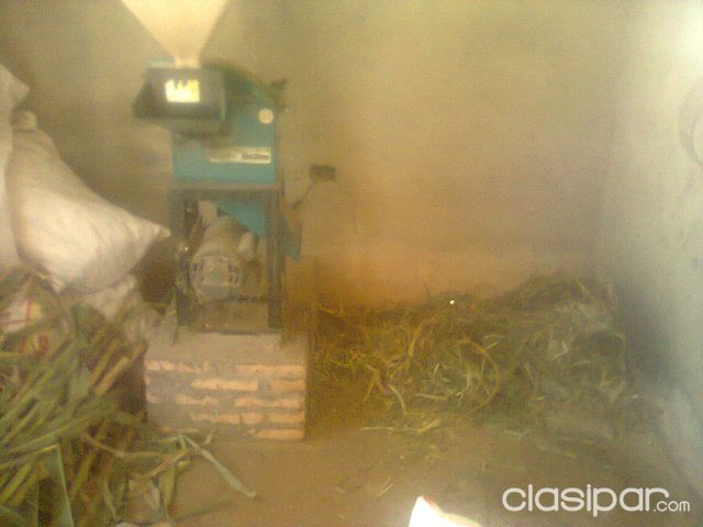Finca para cria de animales cforrajera — foto 2