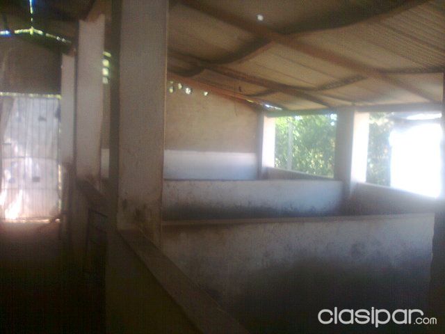 Finca para cria de animales cforrajera — foto 3