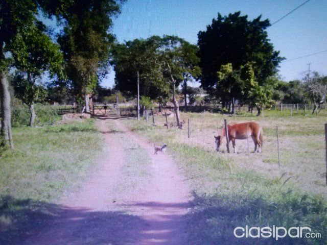 SE VENDE PROPIEDAD 63 HECTAREAS — foto 3