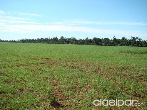 Vendo Estancia formada 5829 has dpto. Alto Parana, apto para la agricultura y ganaderia — foto 2