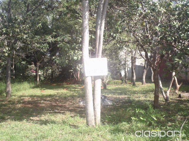 Hermoso terreno en Loma Pyta — foto 2