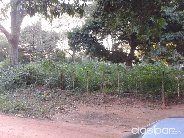 OFERTO 1 HECTÁREA. Z CAÑADA SAN RAFAEL LUQUE 0981 131337 — foto 2