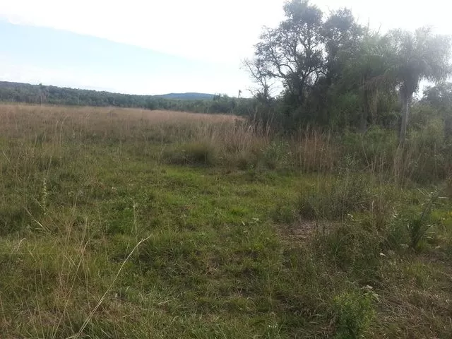 vendo 4 lotes en esquina. km 59 camino tobati! — foto 2