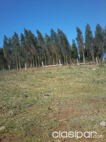 VENDO LOTES EN RAUL PEÑA — foto 3