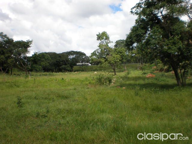 vendo 6 hectáreas sobre ruta nro.3 Km 42 Emboscada — foto 2