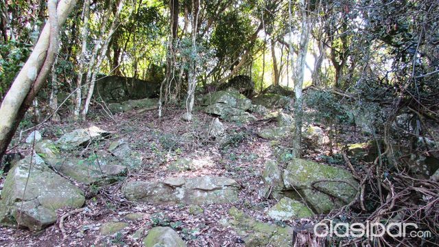 Terreno en Piribebuy — foto 3