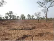 16.000 hectareas - AGUA DULCE CHACO