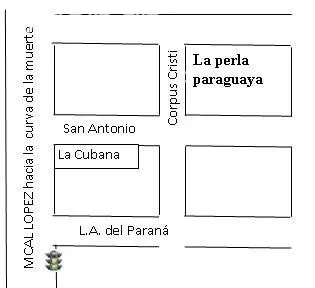 FERNANDO DE LA MORA ZONA NORTE - 1 CUADRA DE MARISCAL LOPEZ Y 2 DE LUIS ALBERTO DEL PARANA - DETRAS DE LA CUBANA — foto 3