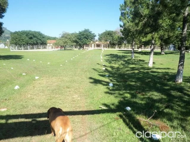 PARAGUARI SOBRE RUTA ASFALTADA VENDO TERRENO DE 110 HAS — foto 2