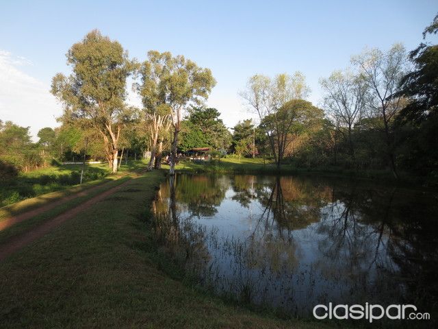 Aregua, UNICA PROPIEDAD DE 7 Has. en el centro, ANTES QUE SUBA DE PRECIO!!!! — foto 2