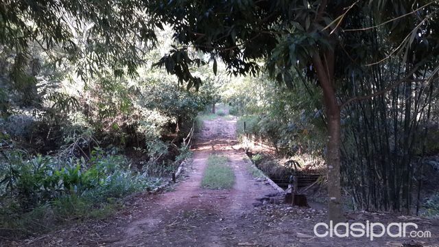 VENDO TERRENO DE 27 HAS. CON CASA (CÑIA. ALMADA) CAACUPE KM 63 CAMINO A TOBATI — foto 3