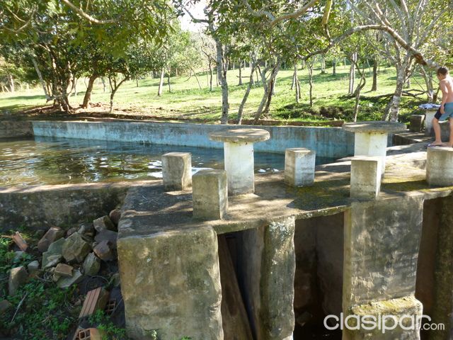 VENDO UNA CASA QUINTA EN CORDILLERA DE 1 HECTAREA ESPECIAL PARA INVERCIONISTA — foto 3