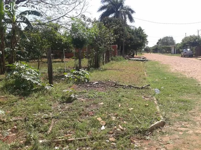 VENDO 3 TERRENOS A 1.500 MTS DE DYLAN — foto 2