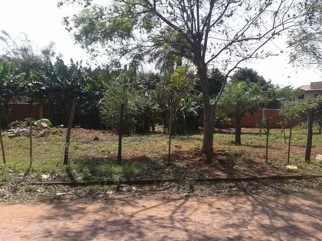 VENDO 3 TERRENOS A 1.500 MTS DE DYLAN — foto 3