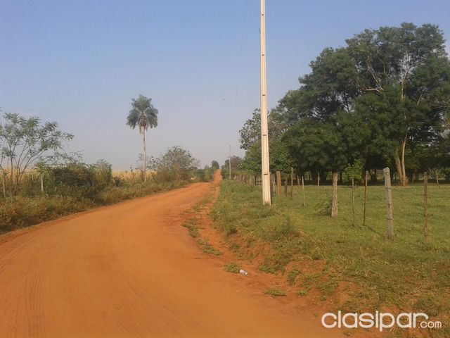 VENDO PROPIEDAD DE 20 HS TITULADO EN GAVIRA A 30 MINUTOS DE BO SAN PEDRO PEGADO A LA ESTANCIA INCOGA — foto 2