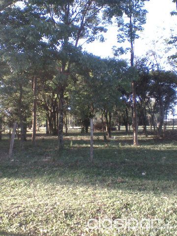 VENDO PROPIEDAD DE 20 HAS SOBRE RUTA INT. N. 7. YA UNICO EN LA ZONA. MINGA GUAZU. EXCELENTE UBICACION 200 X 1000. TITULADO. — foto 2