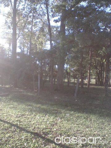 VENDO PROPIEDAD DE 20 HAS SOBRE RUTA INT. N. 7. YA UNICO EN LA ZONA. MINGA GUAZU. EXCELENTE UBICACION 200 X 1000. TITULADO. — foto 3