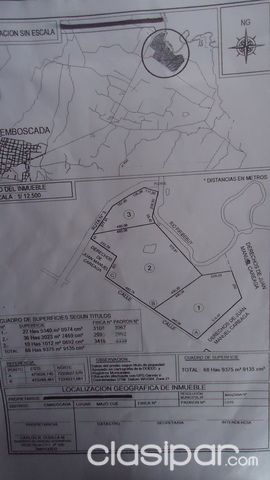 UNICA OPORTUNIDAD CAMPO SOBRE RUTA Y RIO — foto 2