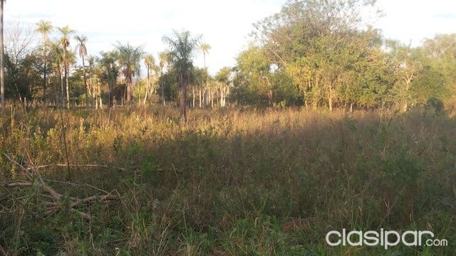 LUQUE-COSTA SOSA-3 HECTAREAS — foto 2