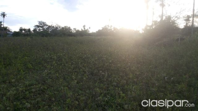LUQUE-COSTA SOSA-3 HECTAREAS — foto 3