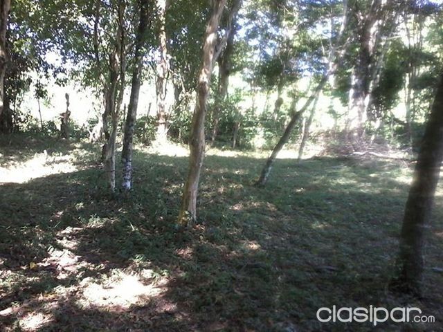 Vendo Paraiso en Melgarejo!!! — foto 2