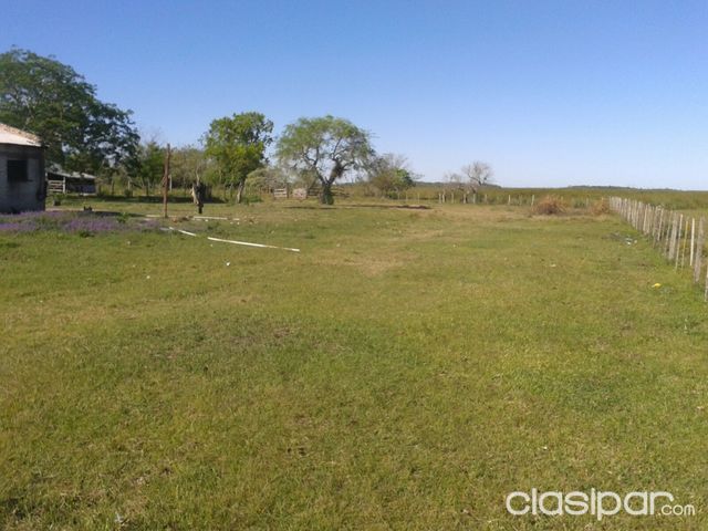 1.100 HAS EN MISIONES CERCA DE RUTA ASFALTADA — foto 2