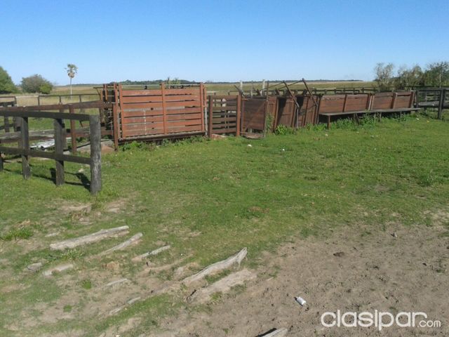1.100 HAS EN MISIONES CERCA DE RUTA ASFALTADA — foto 3