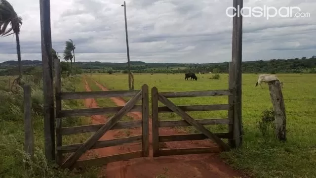 Vendo Campo De 40 Has. En Santa Maria Mision — foto 3