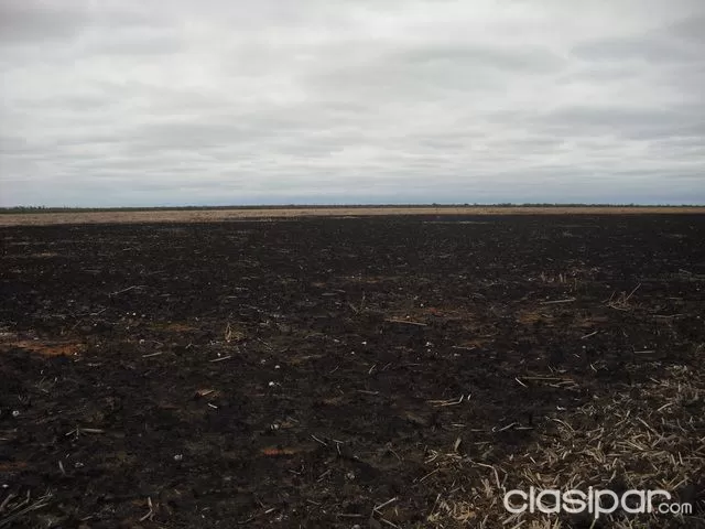 Propiedad Rural en el Chaco SE VENDE!!! — foto 2