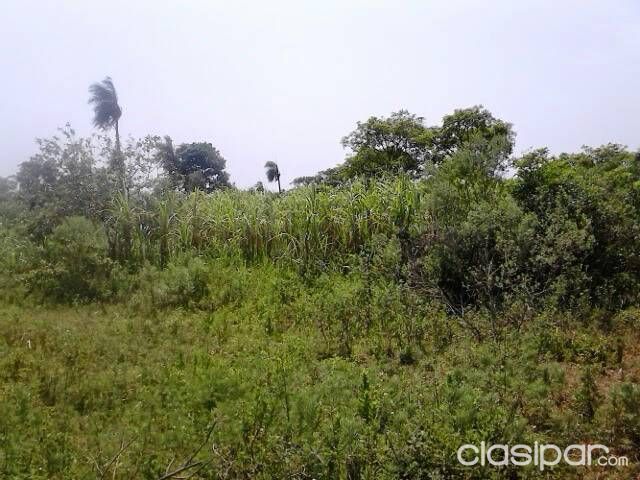 Aldana Cañada. Capiata — foto 2
