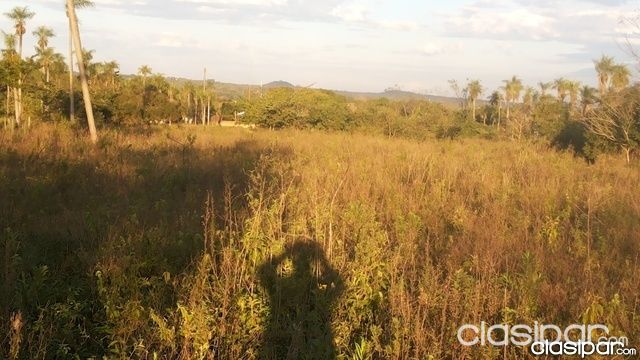 LUQUE-300 METROS DE LA RUTA-3 HECTAREAS — foto 2