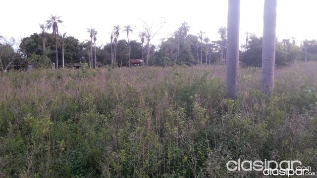 LUQUE-300 METROS DE LA RUTA-3 HECTAREAS — foto 3