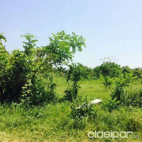 TERRENO EN EL YACHT EN VENTA — foto 2