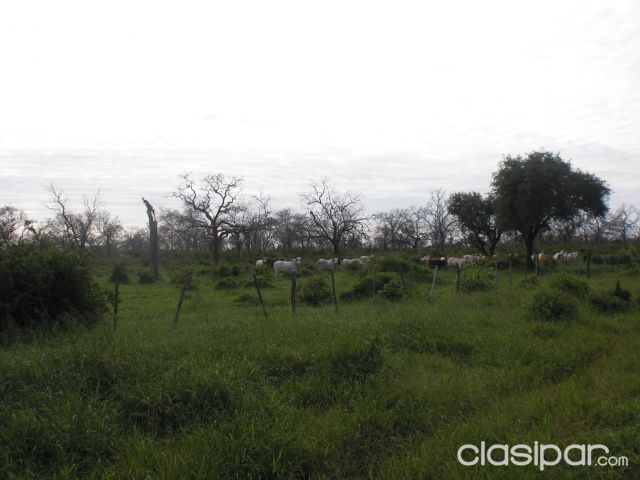 OFERTA Vendo 1.181 Hectáreas. En Caazapa — foto 2