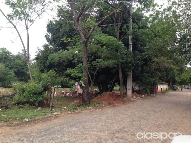 VENDO TERRENO DE 3.552m2 sobre Ruta Luque - San Lorenzo — foto 3