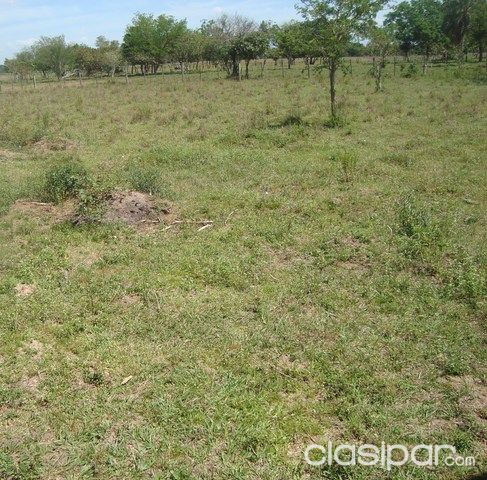 Lote de 400 m2 en Limpio — foto 2