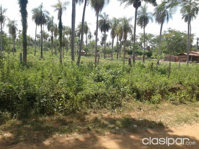 VENDO HERMOSO TERRENO 5 HECTAREAS! ZONA RURAL — foto 2