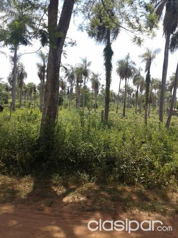 VENDO HERMOSO TERRENO 5 HECTAREAS! ZONA RURAL — foto 3