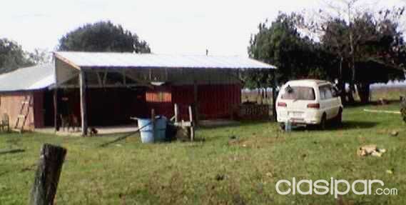 GRAN ESTANCIA DE 827 HECTÁREAS EN OFERTA!!! — foto 3