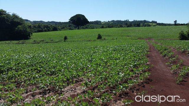 Chacra con casa — foto 2