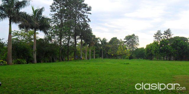 5 HECTÁREAS EN CAPIATÁ - LA NATURALEZA EN SU ESPLENDOR. — foto 2