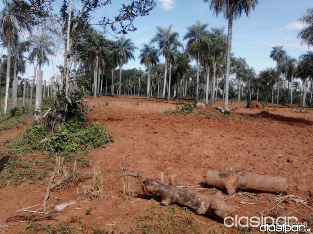 Oferto 8 Has A 600 Mts.Acceso Sur Ita — foto 2