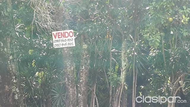 Oferta sobre Ruta Patinho-Capiata — foto 2