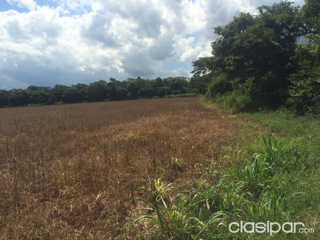 PROPIEDADES SOJERAS EN CAAGUAZU CERCA DE LA RUTA — foto 2