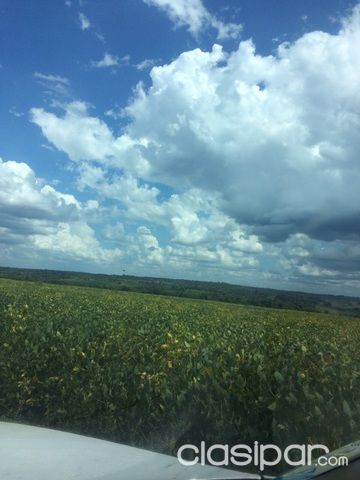 PROPIEDADES SOJERAS EN CAAGUAZU CERCA DE LA RUTA — foto 3
