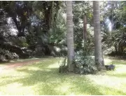 Maravillosa Propiedad de 6 Hectáreas en el corazon de Luque para todo tipo de emprendimiento