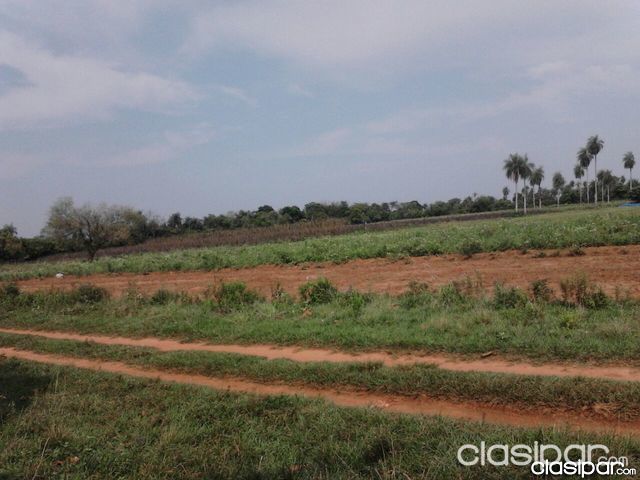 VENDO 6 hás EN VILLETA — foto 2