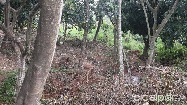Oferta Vendo Terreno 15 X 50 en Itaguá — foto 2